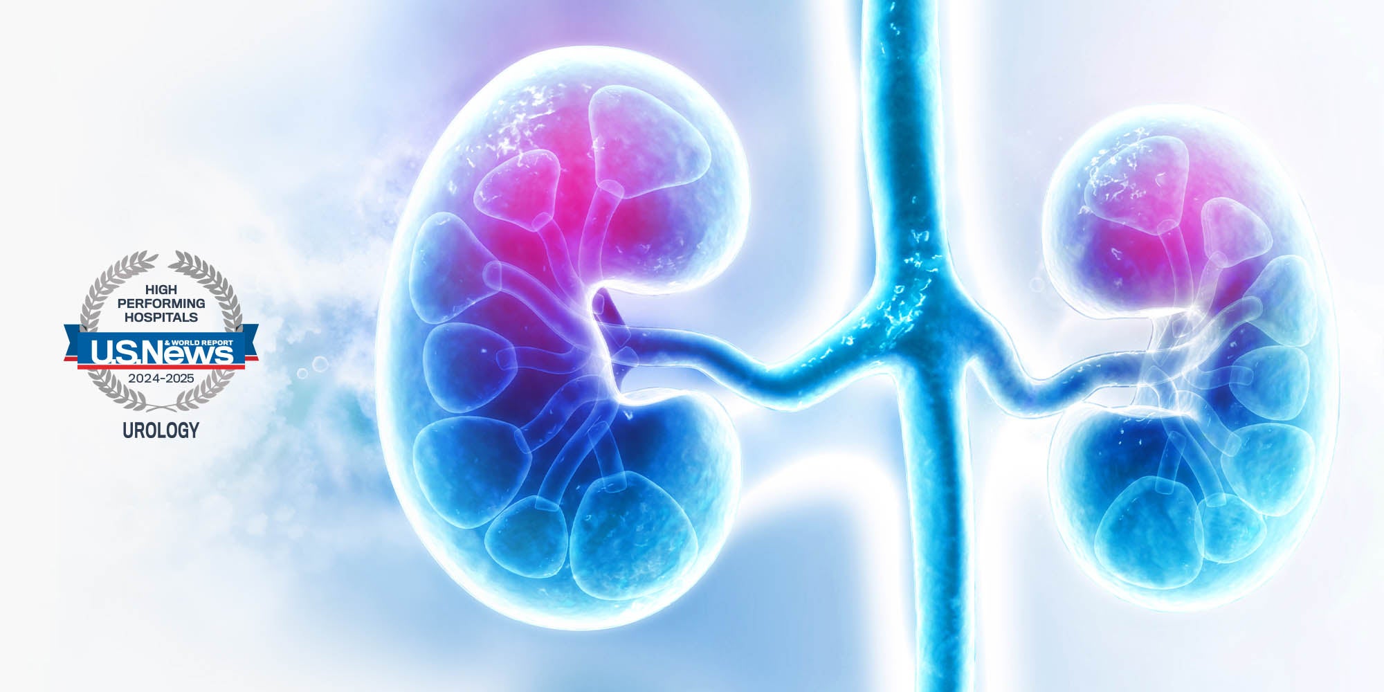 Urologic image