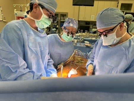 doctors in surgery