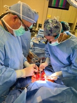 doctor in surgery