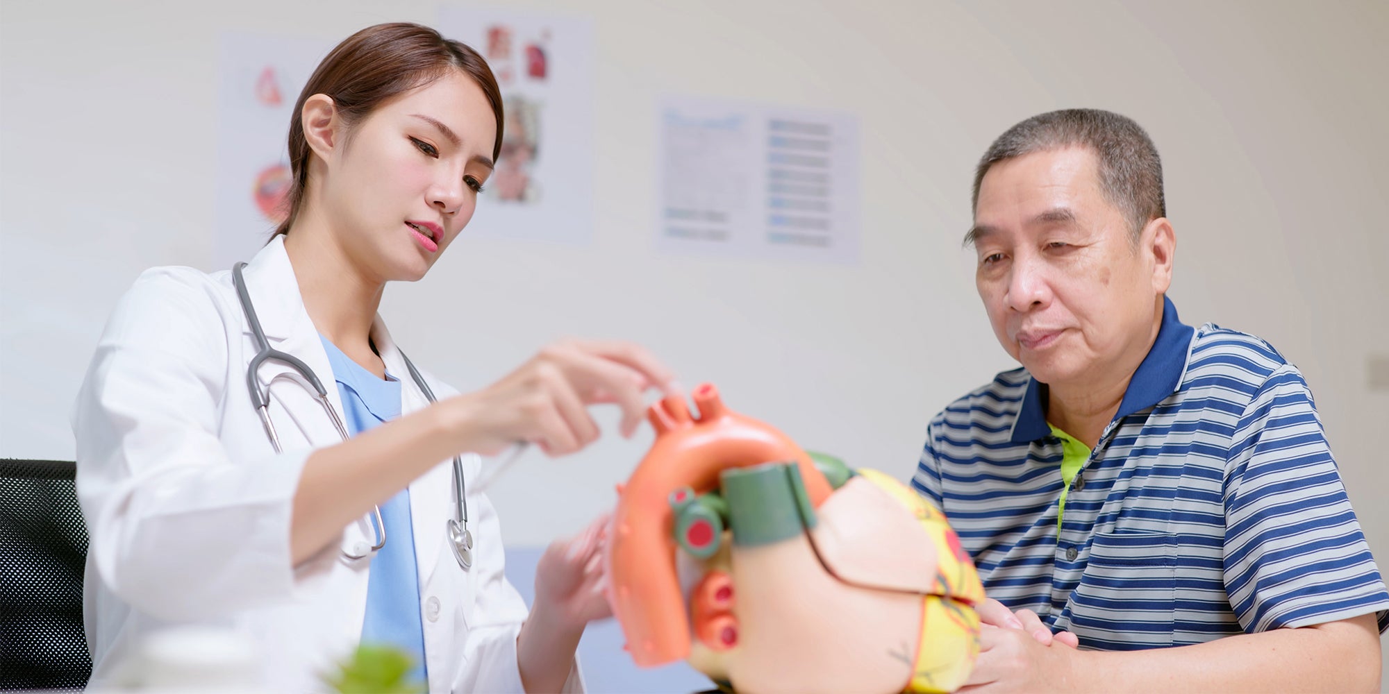 Doctor showing patient a model of a heart