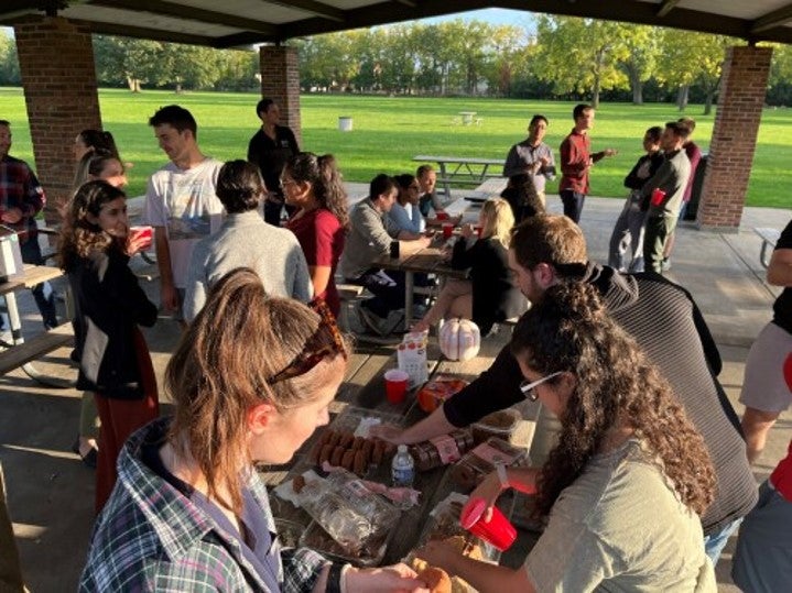picnic