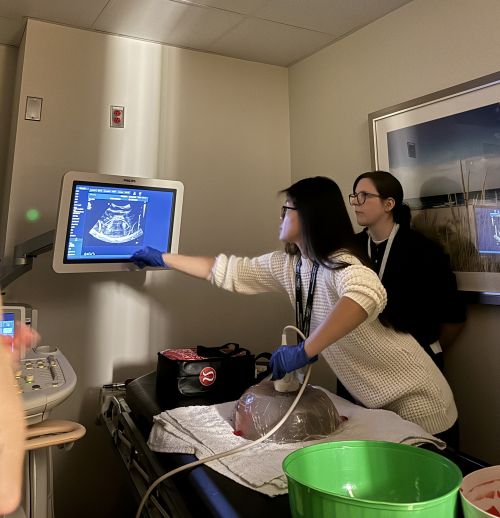 technicians using ultrasound machine