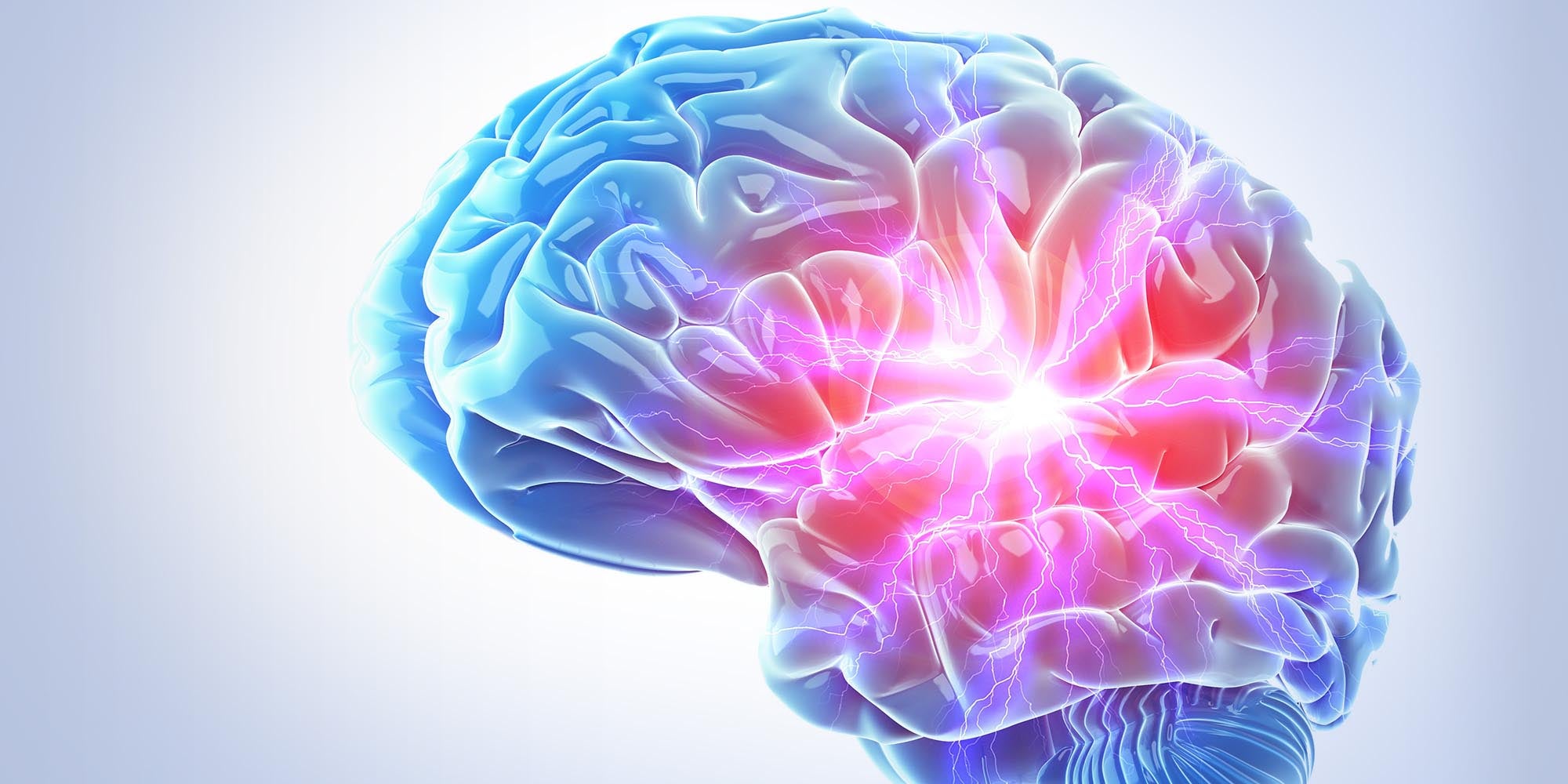 Illustration of the brain