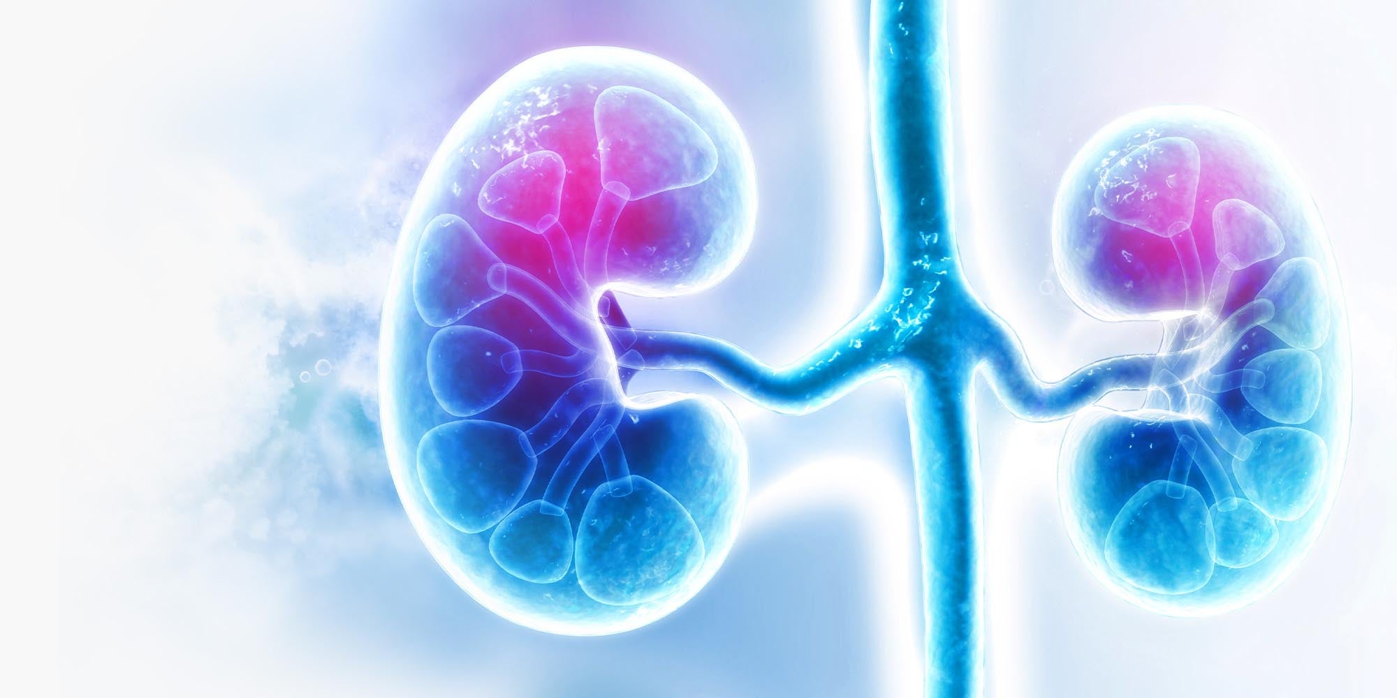 Urologic image